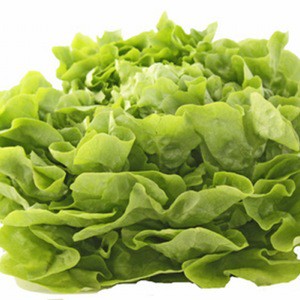 Graines De Laitue Pommée Grosse Blonde Paresseuse – Gondian – 4000 Graines